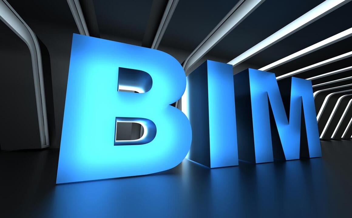 BIM